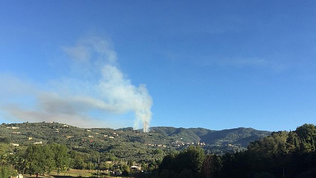 Incendio sui monti di Massa e Cozzile