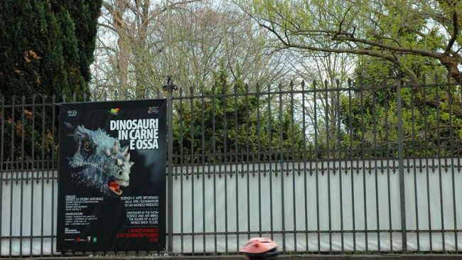 Cruccolini: “Indecente occultare con lunghe fasce di plastica l’Orto botanico”