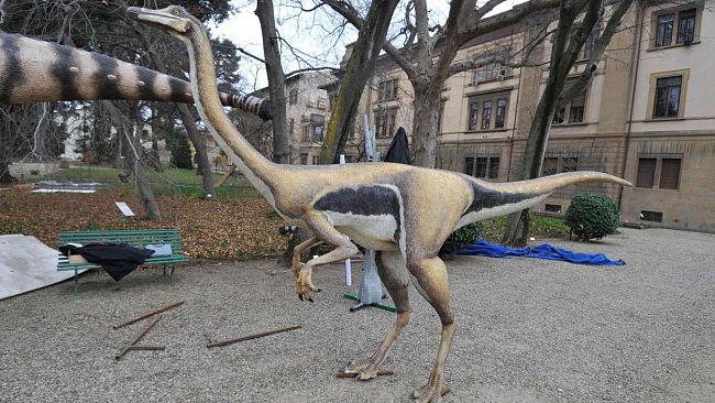 Museo di Storia Naturale: “Dinosauri in carne e ossa”