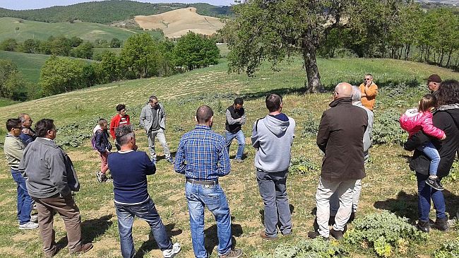 Un sogno in Toscana il lungo ponte di fine aprile