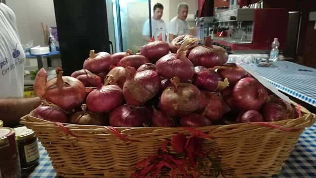 “Cipolla di Certaldo in sagra” dal 23 agosto a Certaldo