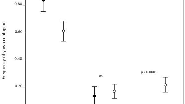Empatia: l'uomo vince sempre?