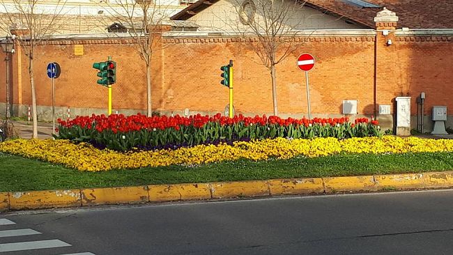 Invasioni Botaniche a Firenze: da Renzi a Nardella, piace il decoro floreale