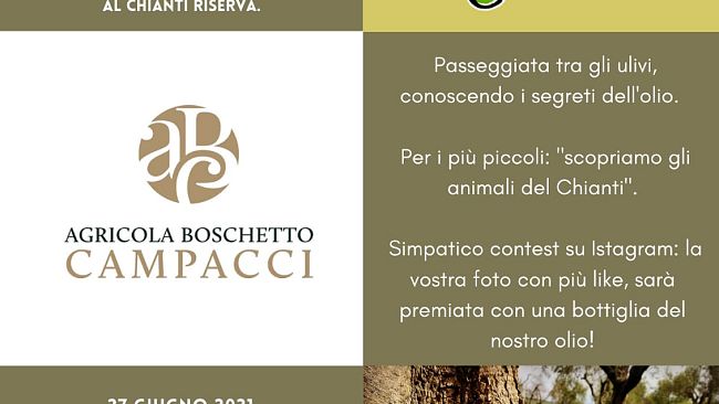 castelnuovo-domenica-27-giugno-a-merenda-nelloliveta