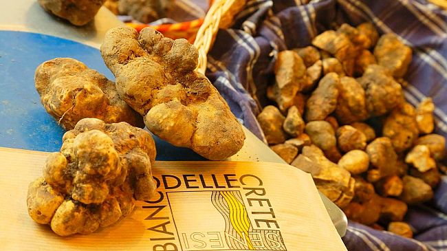 San Giovanni d’Asso: olio e tartufo bianco, le eccellenze toscane