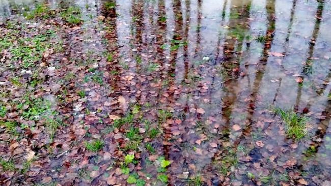 Maltempo: prosegue il codice giallo a Firenze per la pioggia