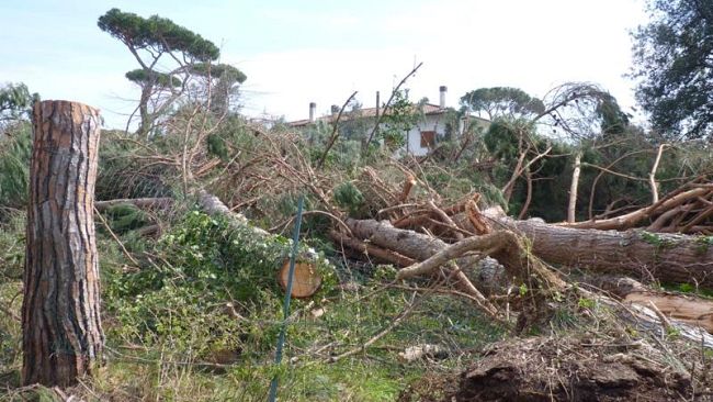 Maltempo: la segnalazione dei danni a case, negozi e imprese