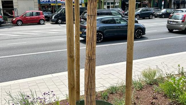 Piano del Verde, Firenze prova la svolta green