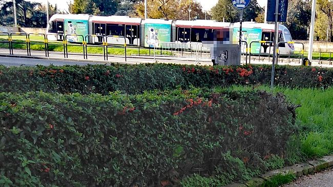 Tramvia 4 Leopolda - Campi, bando entro fine 2022