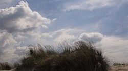 WWF: dune costiere e rotte migratorie da proteggere