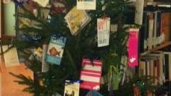 Tredici alberi per le tredici biblioteche cittadine di Firenze