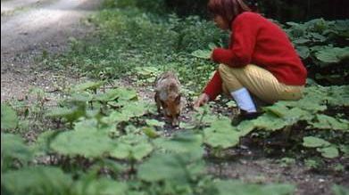Sviluppo economico e tutela dell'ambiente possono coesistere