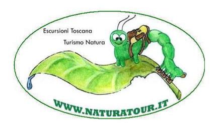 Escursione al Monte Bargiglio - L'Occhio di Lucca