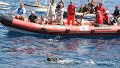Traversata a nuoto Giannutri-Isola del Giglio