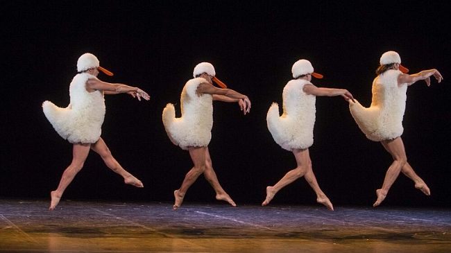 ​Danzainfiera ti porta a Teatro: incontri, lezioni e sconti 