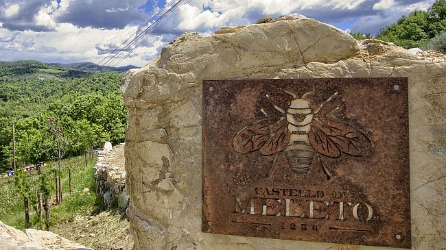 Adotta e custodisci un’arnia con Castello di Meleto