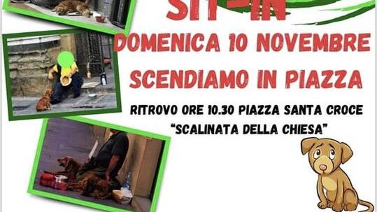 Sit-in per dire stop all'accattonaggio con animali a Firenze