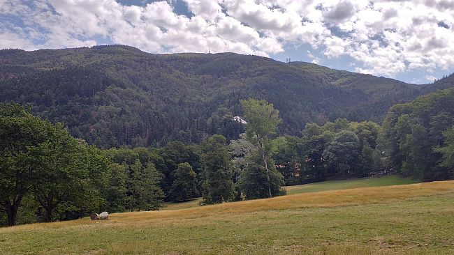 Foresta Maestra a Vallombrosa: eventi gratuiti tra arte e ambiente