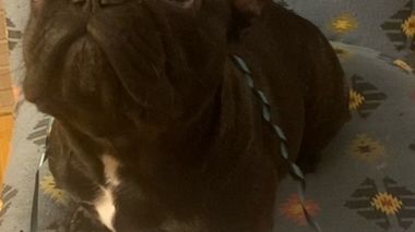 Come posso aiutarli ad affrontare la notte di capodanno?