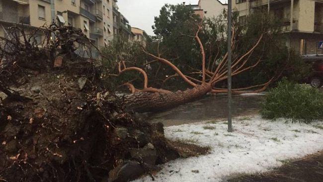 Maltempo: tromba d’aria provoca gravissimi danni su Firenze