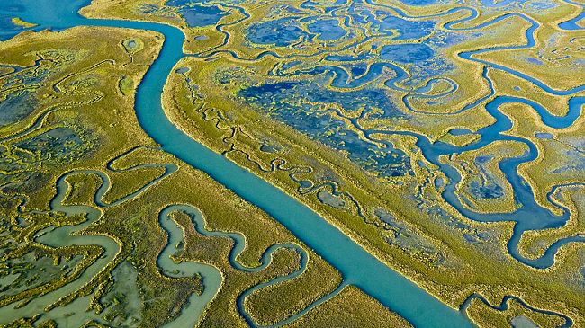Forte Belvedere, cosa c'è da vedere? Due mostre
