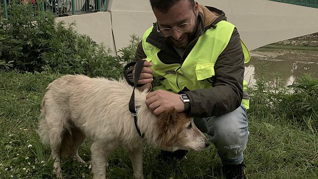 Cagnolina in trappola lungo l’Arno, salvata da Polizia Municipale e Vigili del Fuoco