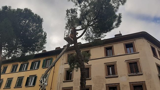 180 mila euro di interventi per piazza Leopoldo e Fortezza, tagli e polemiche al Ponte di Mezzo