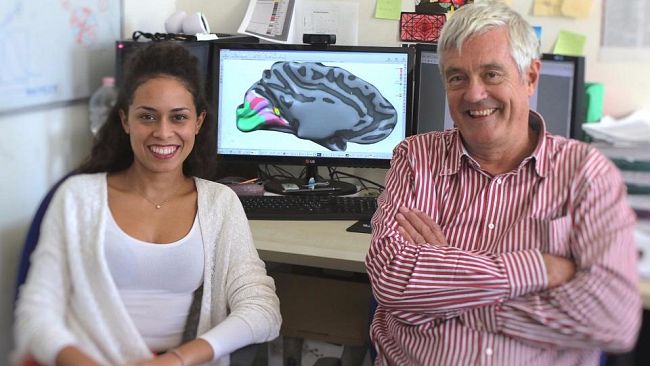 Nuova area visiva nel cervello, la ricerca a Pisa e Firenze