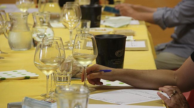 rispescia-la-rassegna-nazionale-dei-vini-delle-aeree-protette