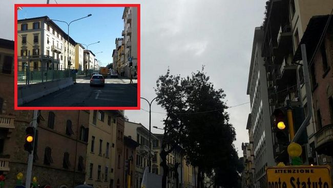 Tramvia allo Statuto: alberi abbattuti, ma non è stato il vento