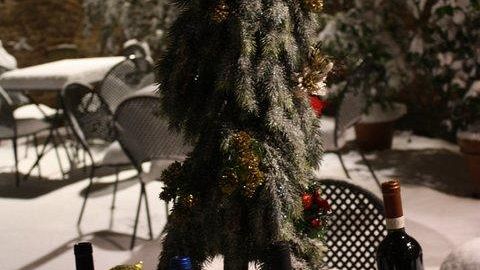 Quale vino degustare e regalare durante le Feste di Natale?