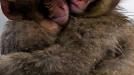 b211121424-imminente-il-kolossal-naturalistico-one-life