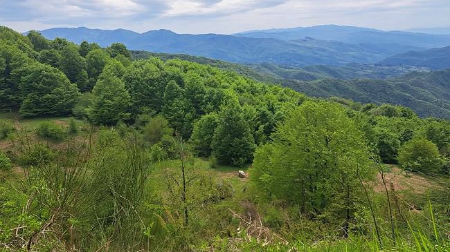 Rivoluzione verde in Toscana: oltre la geotermia