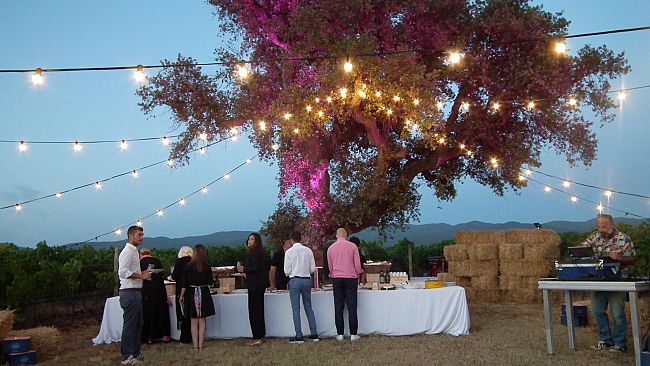 Degustazione sotto le stelle a Poggio al Tesoro