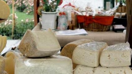 Laboratorio di caseificazione per i più piccoli