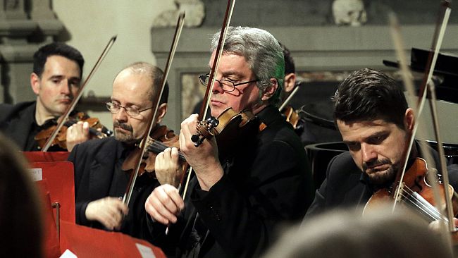 Festival Liuteria Toscana, concerti unici