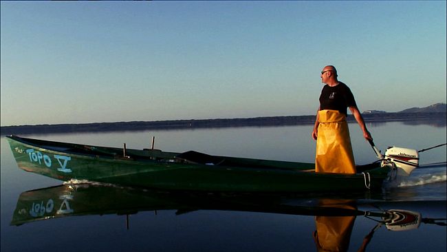 Laguna di Orbetello: bando per la raccolta delle alghe