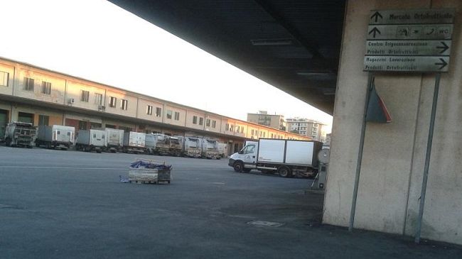 Nuovo Stadio alla Mercafir: Firenze è ancora senza progetto