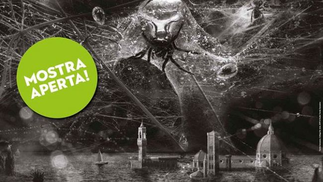 Palazzo Strozzi riprende 