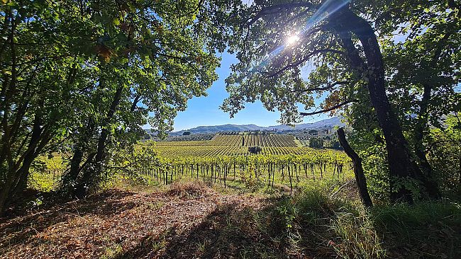 EatPrato Walking: itinerari ed esperienze alla scoperta del gusto