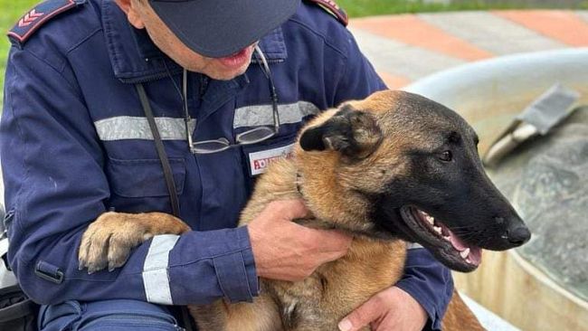 Cani antidroga: Viola e Sirio ancora a segno