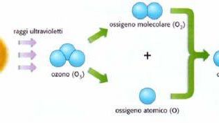 Caldo: dieci regole anti-spreco dal negozio al frigo di casa