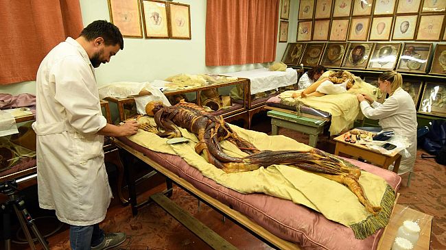 Mostri e Cadaveri a Roma dal Museo di Storia Naturale di Firenze