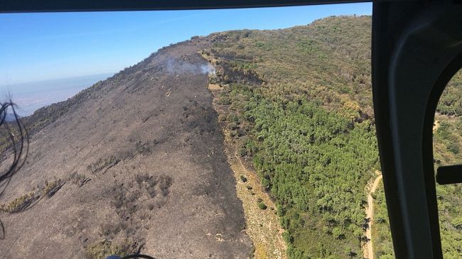 Incendio Monti Pisani in Toscana: i danni del disastro ambientale