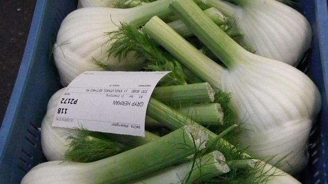 Cos’è la PAC e quali sostegni offre l’UE