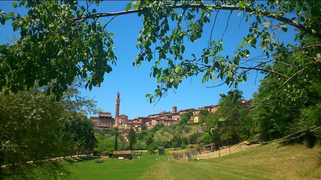 Toscana Art Bonus, mecenatismo per cultura e paesaggio