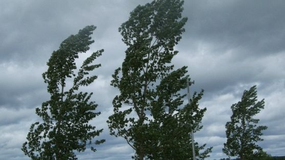 Meteo in Toscana, vento forte e minime in picchiata: andrà sotto zero