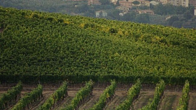 Lunedì 7 settembre presidio al valico del Brennero da parte degli agricoltori toscani