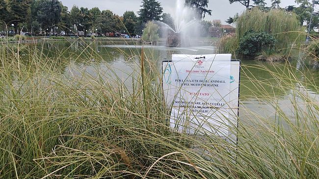 Natale: alla Fortezza una ruota panoramica di 55 metri