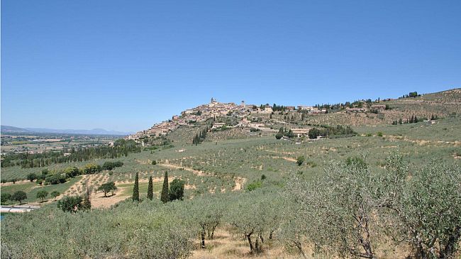 Esperti mondiali del patrimonio agricolo si incontrano a Firenze